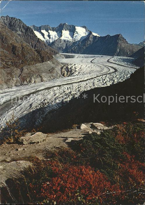 Gletscher Aletsch Aletschwald Wannenhorn