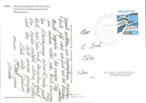 Gletscher Aletsch Aletschwald Wannenhorn – Bild 2