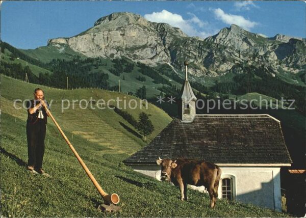 Alphorn Alphornbläser Kuh Obwalden Widderfeld N