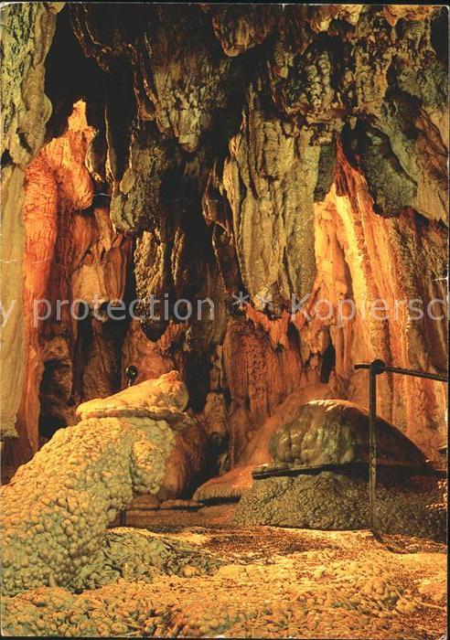 Hoehlen Caves Grottes Höllgrotten Baar Dom mit Krokodil