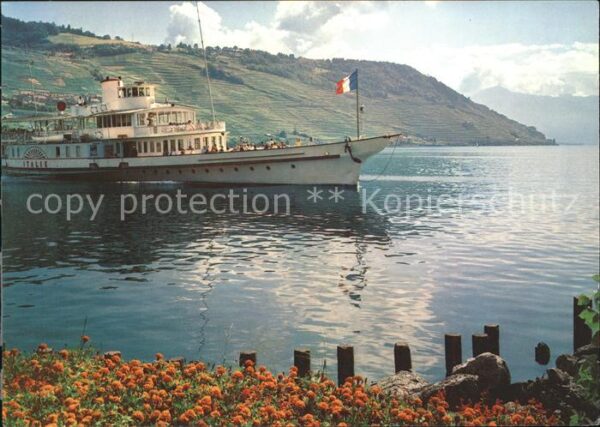 Dampfer Binnenschifffahrt Italie Lac Leman Genfersee