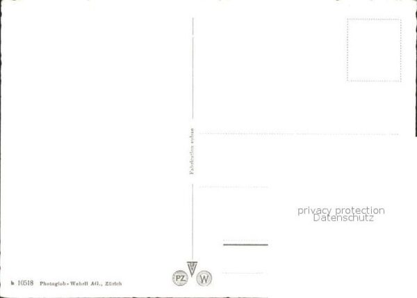 Murmeltier – Bild 2
