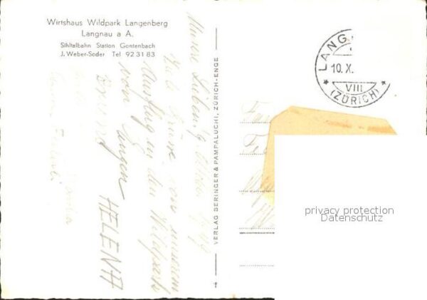 Hirsch Hirsche Wildpark Langenberg Langnau – Bild 2
