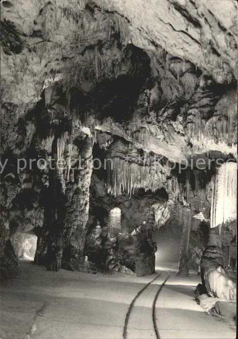 Hoehlen Caves Grottes Postojnska Jama Slovenija Jugoslavija