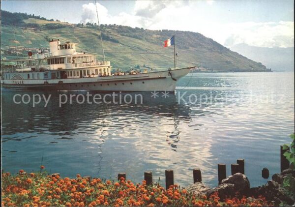 Dampfer Binnenschifffahrt Italie Lac Leman Genfersee