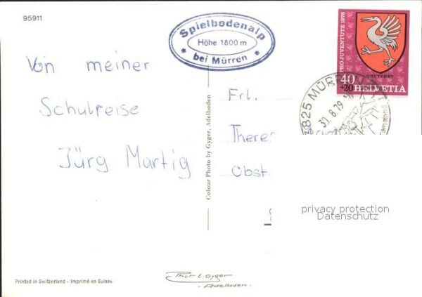 Kuehe Spielbodenalp Mürren – Bild 2