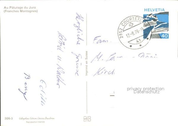 Pferde Paturage du Jura Franches Montagnes – Bild 2