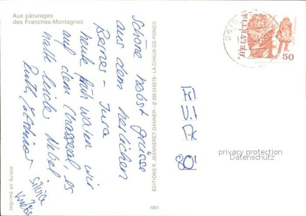 Pferde Paturage des Franches-Montagnes – Bild 2