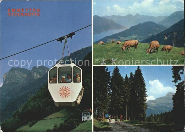 Seilbahn Emmetten-Stockhütte Kühe