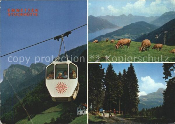 Seilbahn Emmetten-Stöckhütte Kühe