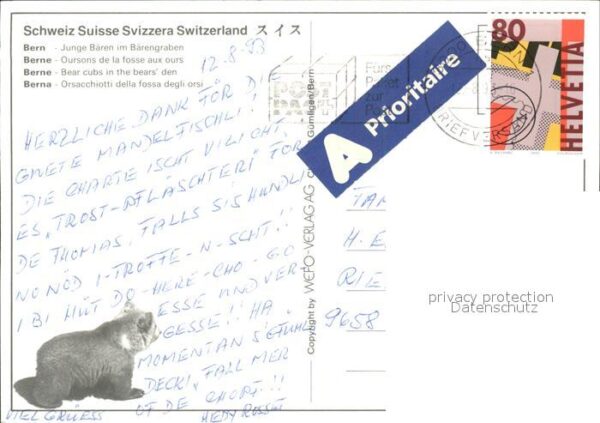 Baeren Junge Bären im Bärengraben Bern – Bild 2
