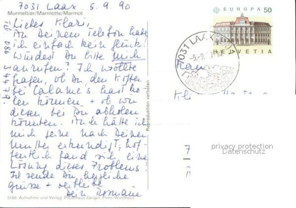 Murmeltier – Bild 2