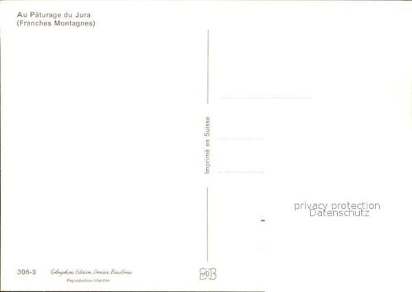 Pferde Paturage du Jura Franches Montagnes – Bild 2