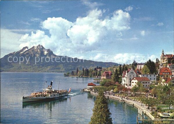 Dampfer Seitenrad Gallia Weggis Pilatus