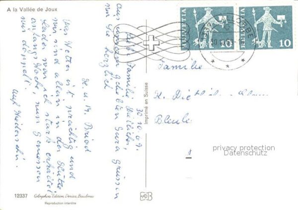 Kuehe Vallee de Joux – Bild 2