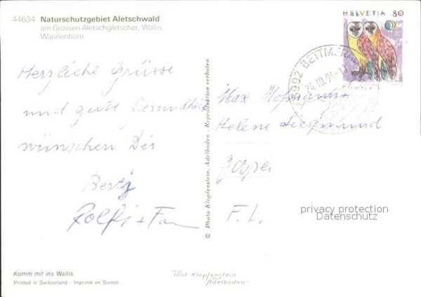 Gletscher Aletschgletscher Wallis Wannenhorn – Bild 2