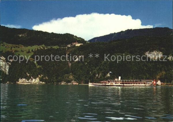 Dampfer Seitenrad Uri Fürigen Vierwaldstättersee