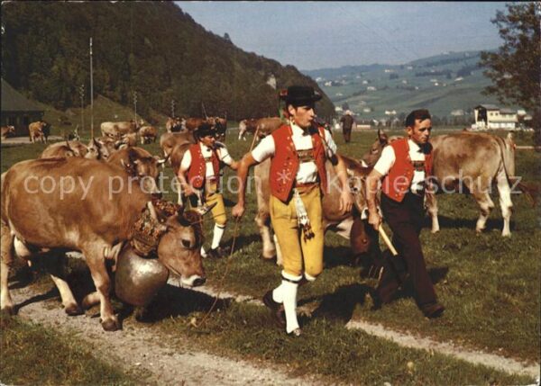 Kuehe Kuhglocke Alpabfahrt Kanton Appenzell