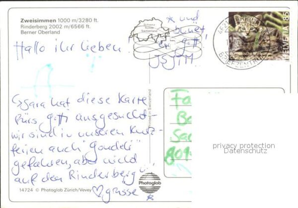 Seilbahn Zweisimmen Rinderberg – Bild 2