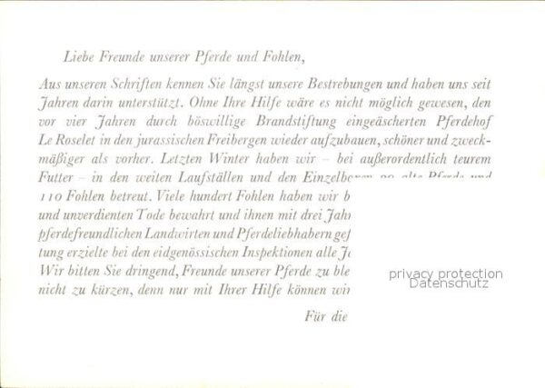 Pferde Pferdehof Le Roselet Freibergen Stiftun – Bild 2