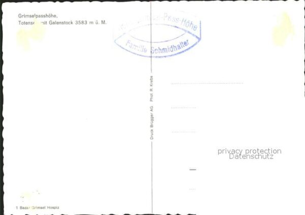 Kuehe Grimselpasshöhe Galenstock Totensee – Bild 2
