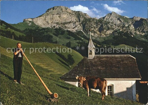 Alphorn Alphornbläser Obwalden Kuh Widderfeld N
