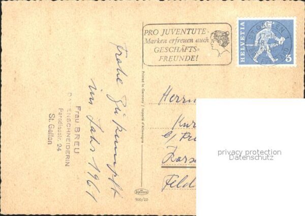 Rosen – Bild 2