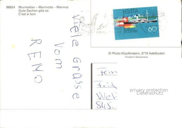Murmeltier – Bild 2