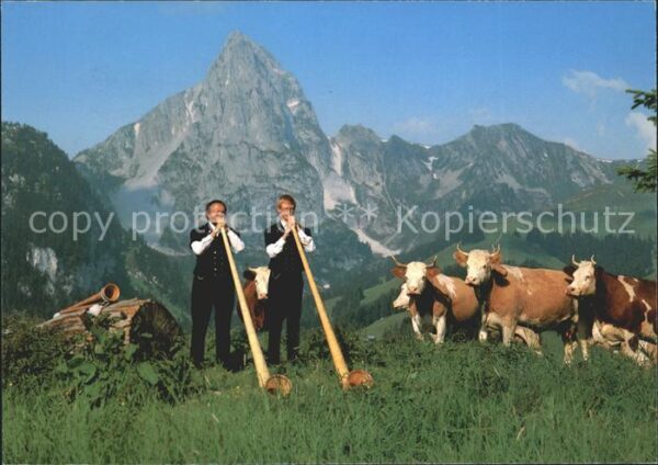 Alphorn Alphornbläser Kühe