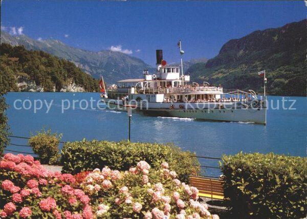 Dampfer Binnenschifffahrt Lötschberg Brienzersee