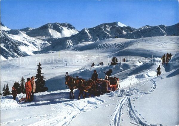 Pferde Pferdeschlitten Arosa Arlenwaldstrasse