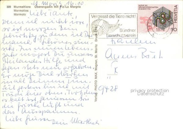 Murmeltier Oberengadin Piz La Margna – Bild 2