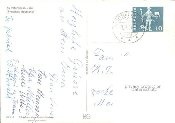 Pferde Paturage du Jura Franches Montagnes – Bild 2