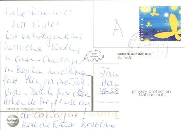 Schafe Herde Hirte Alp – Bild 2