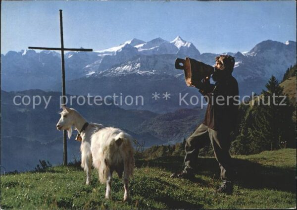 Ziege Betruf Wetterhorngruppe