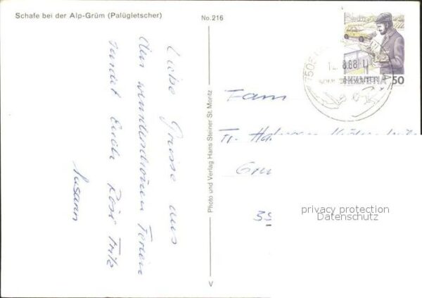 Schafe Herde Hirte Alp-Grün Palügletscher – Bild 2