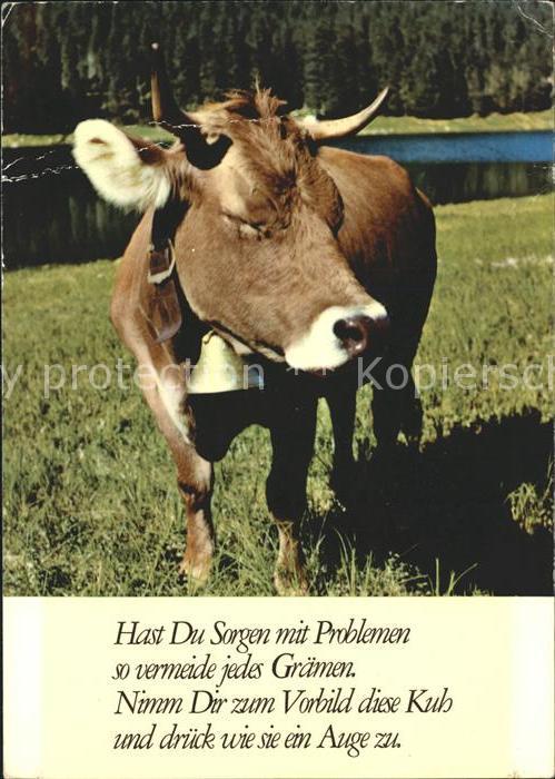 Kuehe Kuhglocke Gedicht Spruch