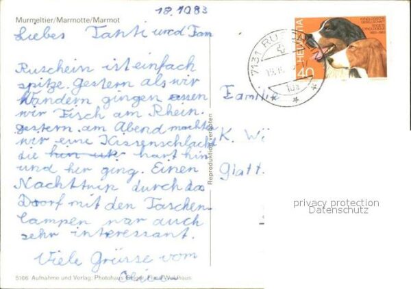 Murmeltier Marmotte Marmot – Bild 2