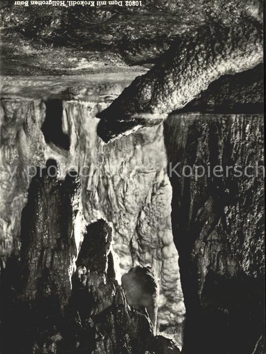 Hoehlen Caves Grottes Höllgrotten Baar Dom Krokodil