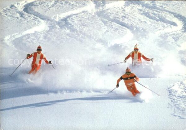 Skifahren Pulverschnee