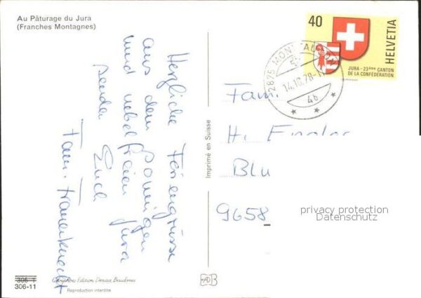 Pferde Paturage du Jura Franches Montagnes – Bild 2