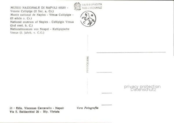 Skulpturen Venere Callipige Museo Nazionale di Nap – Bild 2