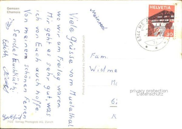 Gemse Chamois – Bild 2