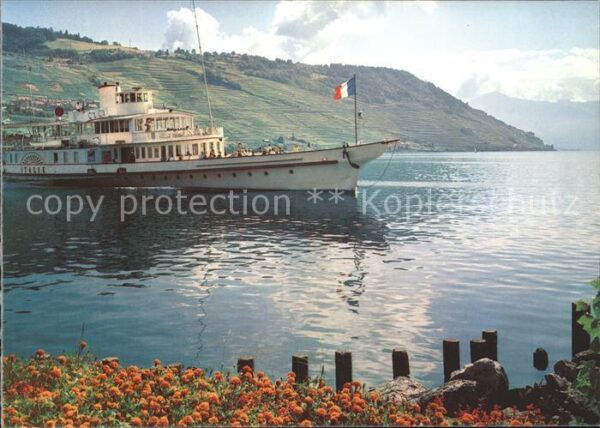 Dampfer Binnenschifffahrt Italie Lac Leman