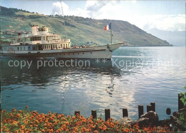 Dampfer Binnenschifffahrt Italie Lac Leman Genfersee