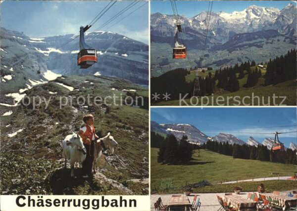 Seilbahn Chäserrugg Ziegen Unterwasser Obertogge