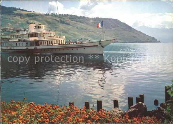 Dampfer Binnenschifffahrt Italie Lac Leman Genfersee