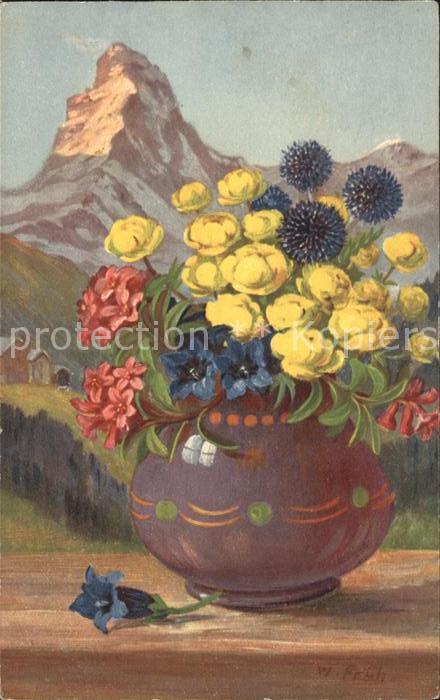 Frueh W. Enzian Trollblume Alpenrosen Matterhorn