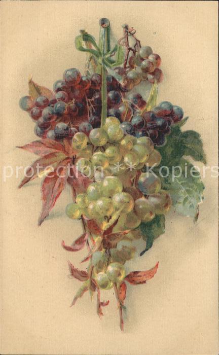 Obst Trauben Weinblätter