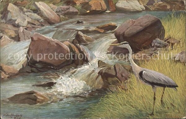 Kuenstlerkarte Walter Heubach Kranich Fluss Nr. 358